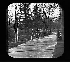 Views: U.S., Brooklyn. Brooklyn, Prospect Park. View 018: Rustic Bridge.