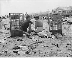 Empty baskets amid Coney Island filth