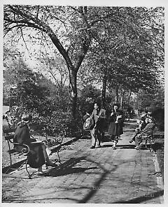 [Strolling couple on walk near Brooklyn College]