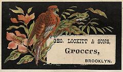 Tradecard. George Lockitt and Sons. Brooklyn.