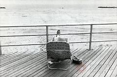 [Person reading on boardwalk]