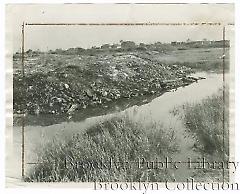 [Illegal dumping at Jamaica Bay]