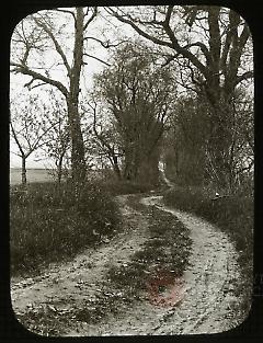 A Road on a Flatlands Farm