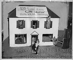 Brooklyn-Long Island Cat Club