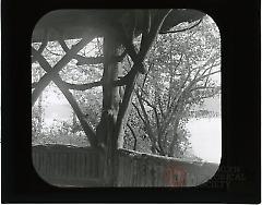 [Architectural detail of Rustic Shelter, Prospect Park]