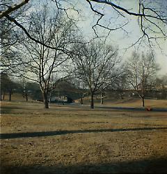 [View of park at 66th Street.]