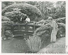 Japanese Garden gardener