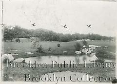 Brooklyn Botanic Garden pond