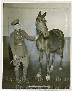 John Green with Vixen, horse owned by James H. McSweeney, Commandant of the 105th F. Artillery