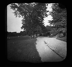 Views: U.S., Brooklyn. Brooklyn, Prospect Park. View 013: Elm. Long Meadow.