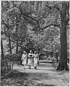 Packer Collegiate Institute garden