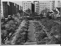 [Aerial view of perennial garden at Brooklyn College]