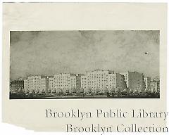 Brooklyn Garden Tenements