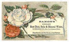 Tradecard. Damon's. 717 Fulton Street. Brooklyn, NY. Recto.