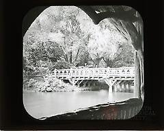 [Ford Bridge viewed from Rustic Shelter, Prospect Park]