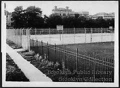 Public School 235 playground