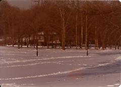 [Brooklyn Photographs: Prospect Park]