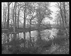 Views: Brooklyn. Various. View 011: On Paerdegat Creek, Flatbush.