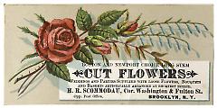 Tradecard. H. R. Scommodau Florist. Cor. Washington & Fulton Streets. Brooklyn, NY. Recto.