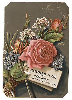 Tradecard. Harding & Co. Fine Shoes. 317 Fulton Street. Brooklyn, NY. Recto