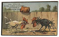 Tradecard. WM. Shafer, Butter Cheese and Egg Store. 209 Flatbush Avenue. Brooklyn, NY. Recto.