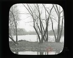 [Rustic Shelter, Prospect Park]