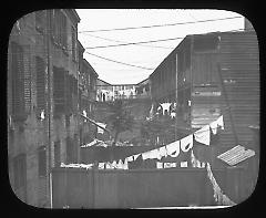 Views: Brooklyn. Various. View 023: Back yards in Gold Street, 1899.
