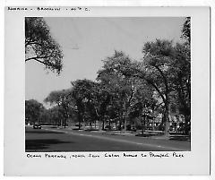 Ocean Parkway  north from Caton Avenue to Prospect Park.