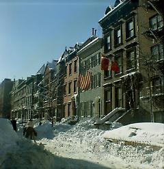 [View of West side of Willow Street.]