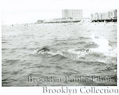 [Coney Island lifeguards]