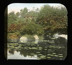 Views: U.S., Brooklyn. Brooklyn, Prospect Park. View 011: Pond (colored).