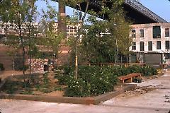 [Park area and historic buildings under Brooklyn Bridge]