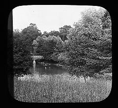 Views: U.S., Brooklyn. Brooklyn, Prospect Park. View 034: Row boats on a lagoon.