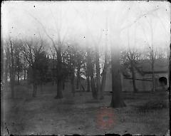 [House and barn among trees]