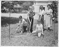 Farmers set East New York abloom