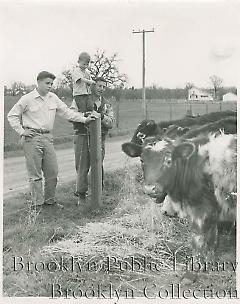 [Dolph Camilli with sons]