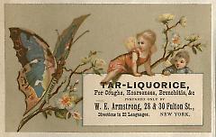 Tradecard. W.E. Armstrong. 28 and 30 Fulton Street. Brooklyn.