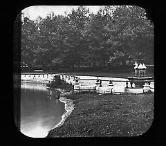 Views: U.S., Brooklyn. Brooklyn, Prospect Park. View 045: Grove of Sycamores.