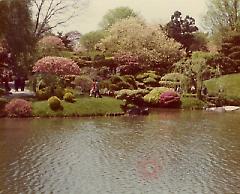 [Japanese Garden]