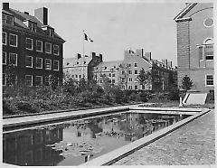 [Deserted lily pool at Brooklyn College]