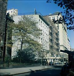 [West side of Henry Street.]