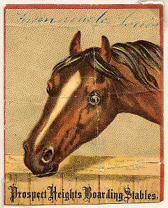 Tradecard. Prospect Heights Boarding Stables. Stearling Place. Brooklyn, NY. Recto.