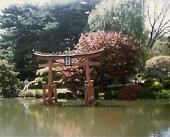 [Japanese Garden]