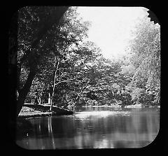 Views: U.S., Brooklyn. Brooklyn, Prospect Park. View 047: View of the lake.