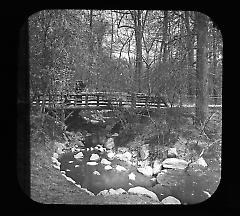 Views: U.S., Brooklyn. Brooklyn, Prospect Park. View 004: Rustic Bridge.