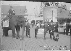 Election year, Coney Island