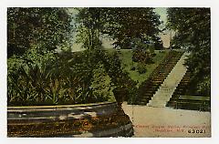 Flower Carpet Stairs, Prospect Park, Brooklyn, N.Y. Recto.