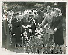 Iris garden dedicated