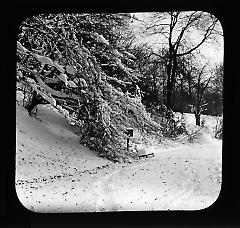 Views: U.S., Brooklyn. Brooklyn, Prospect Park. View 031: Winter.