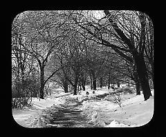 Views: U.S., Brooklyn. Brooklyn, Prospect Park. View 028: A winter.